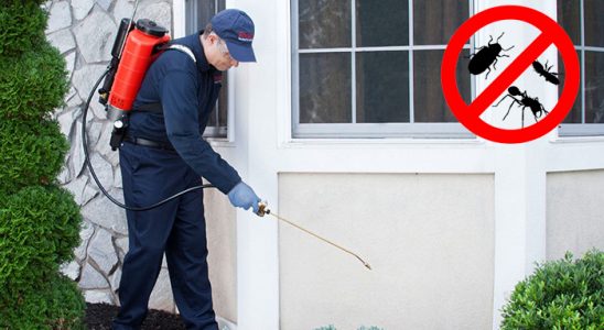 Egekent Bit İlaçlama böcek ilaçlama ve haşere kontrolü — ilaclama-tr.com